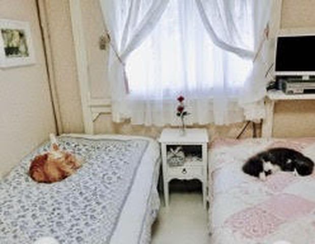 富士山　健康開運　猫と犬のお宿　ペンションブルーポピー